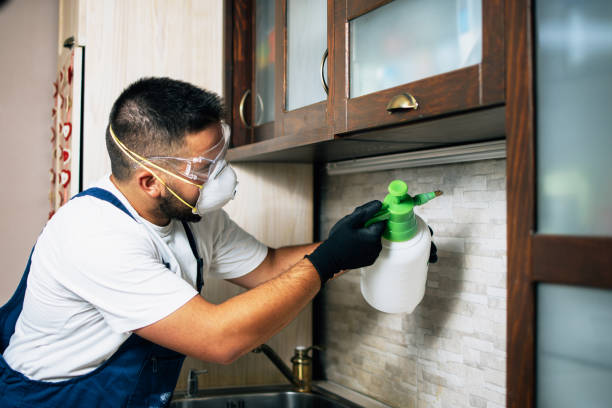Best Residential Pest Control  in Darien Downtown, CT