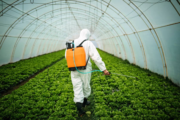 Best Pest Prevention Services  in Darien Downtown, CT