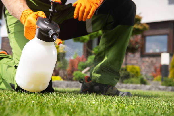 Best Affordable Pest Control Services  in Darien Downtown, CT